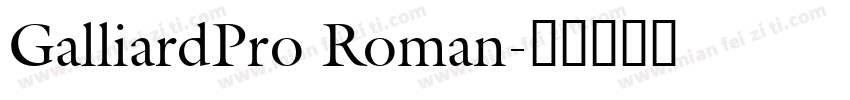 GalliardPro Roman字体转换